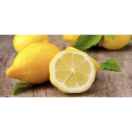 20 Boîtes Ricola Citron Mélisse | Milleproduits : bonbons, chocolats, snacks en ligne à prix grossiste