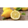 20 Boîtes Ricola Citron Mélisse | Milleproduits : bonbons, chocolats, snacks en ligne à prix grossiste 20 Boîtes Ricola Citron Mélisse | Milleproduits : bonbons, chocolats, snacks en ligne à prix grossiste