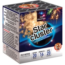 Artifices Compact Star...