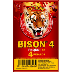 Pyragric-Tigre-Petard-Bison-4
