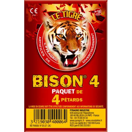 Pyragric-Tigre-Petard-Bison-4