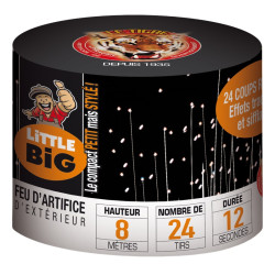Artifice compact Little Big...
