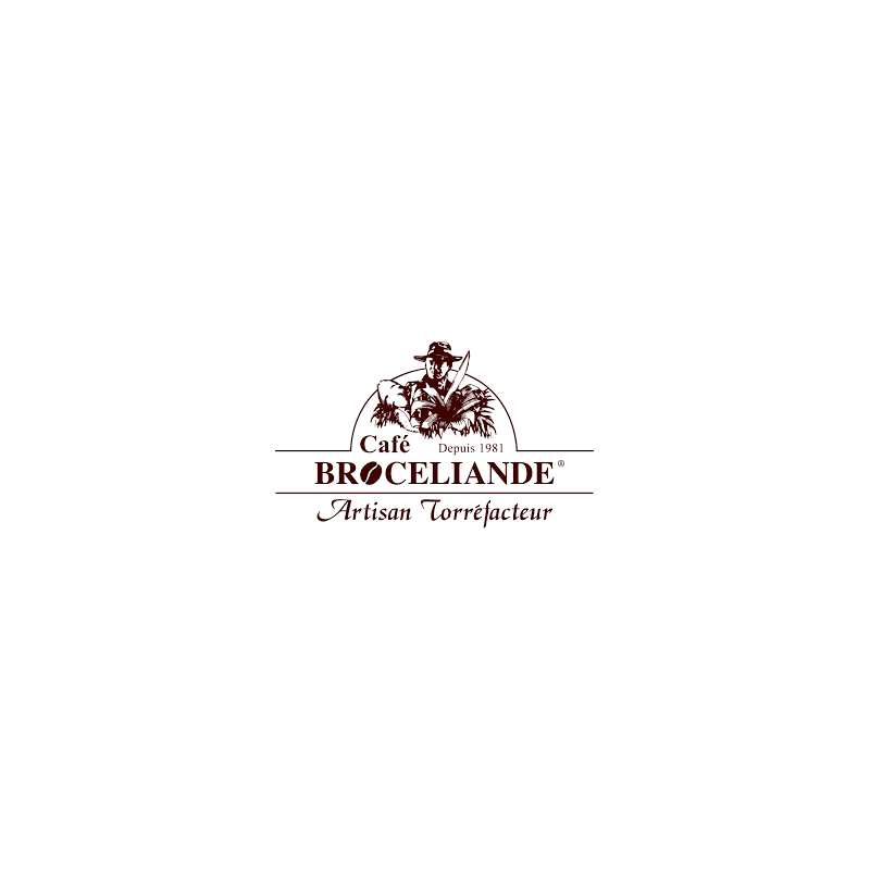 12 Café Brocéliande Grains 250g | Milleproduits.com : bonbons, chocolats, snacks en ligne à prix grossiste