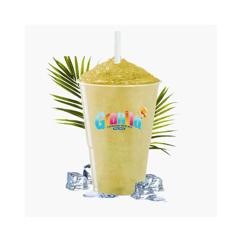 10 kg Poudre Granita Exotique 35 ou 25 cl | Milleproduits.com : bonbons, chocolats, snacks en ligne à prix grossiste