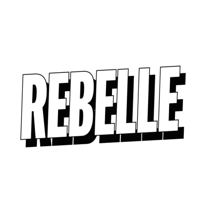 12 Sachets Rebelle Oursons 50g | Milleproduits.com : bonbons, chocolats, snacks en ligne à prix grossiste