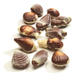 3,5Kg Fruits de Mer Marbrés | Milleproduits.com : bonbons, chocolats, snacks en ligne à prix grossiste
