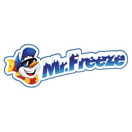 Congélateur Mr Freeze + 13 Cartons Offerts | Milleproduits.com : bonbons, chocolats, snacks en ligne à prix grossiste
